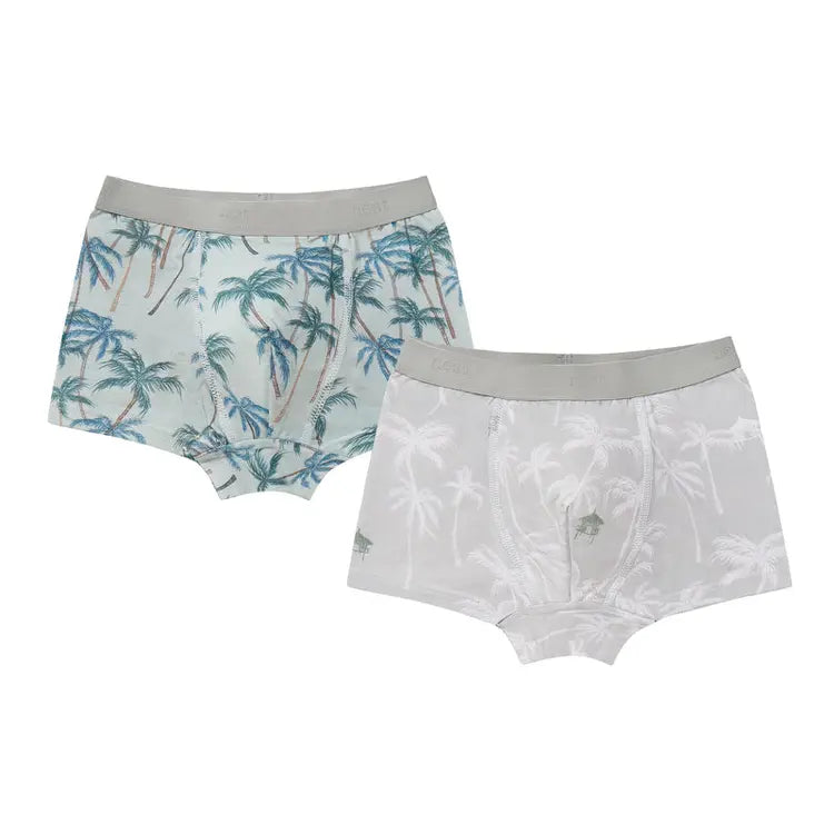Boys Boxer Briefs Underwear (Bamboo, 2 Pack)