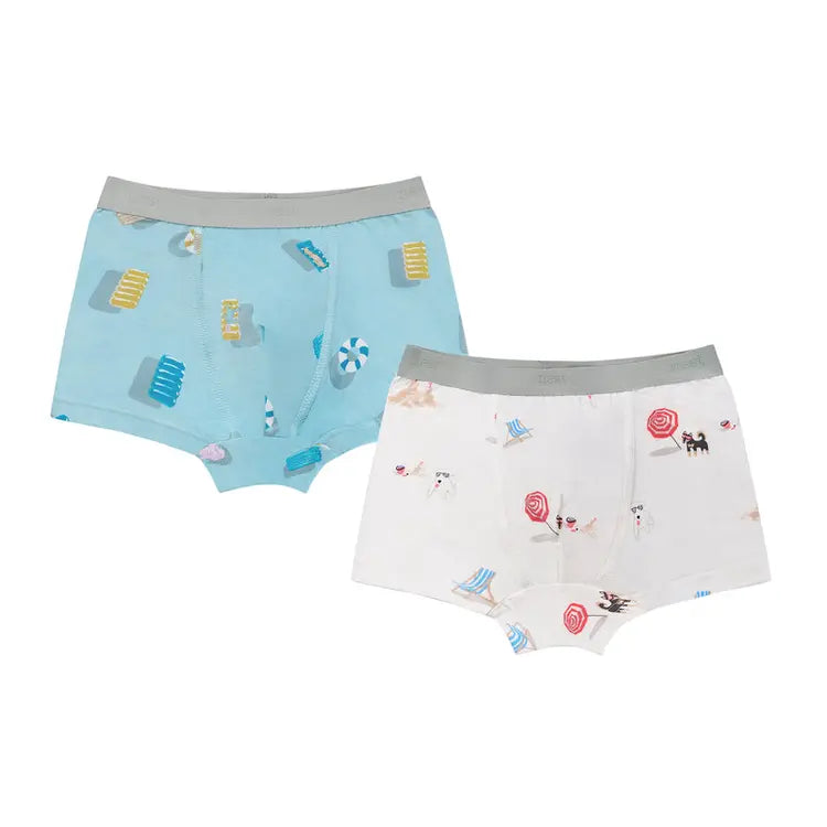 Boys Boxer Briefs Underwear (Bamboo, 2 Pack)