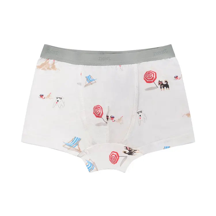 Boys Boxer Briefs Underwear (Bamboo, 2 Pack)
