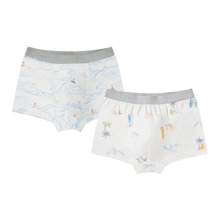 Boys Boxer Briefs Underwear (Bamboo, 2 Pack)