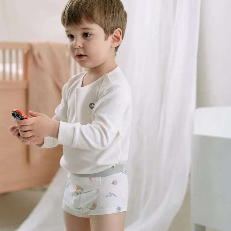 Boys Boxer Briefs Underwear (Bamboo, 2 Pack)