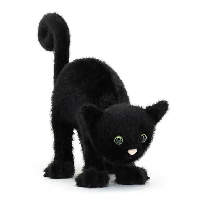 Spookipaws Cat - Hello Kids Baby Store