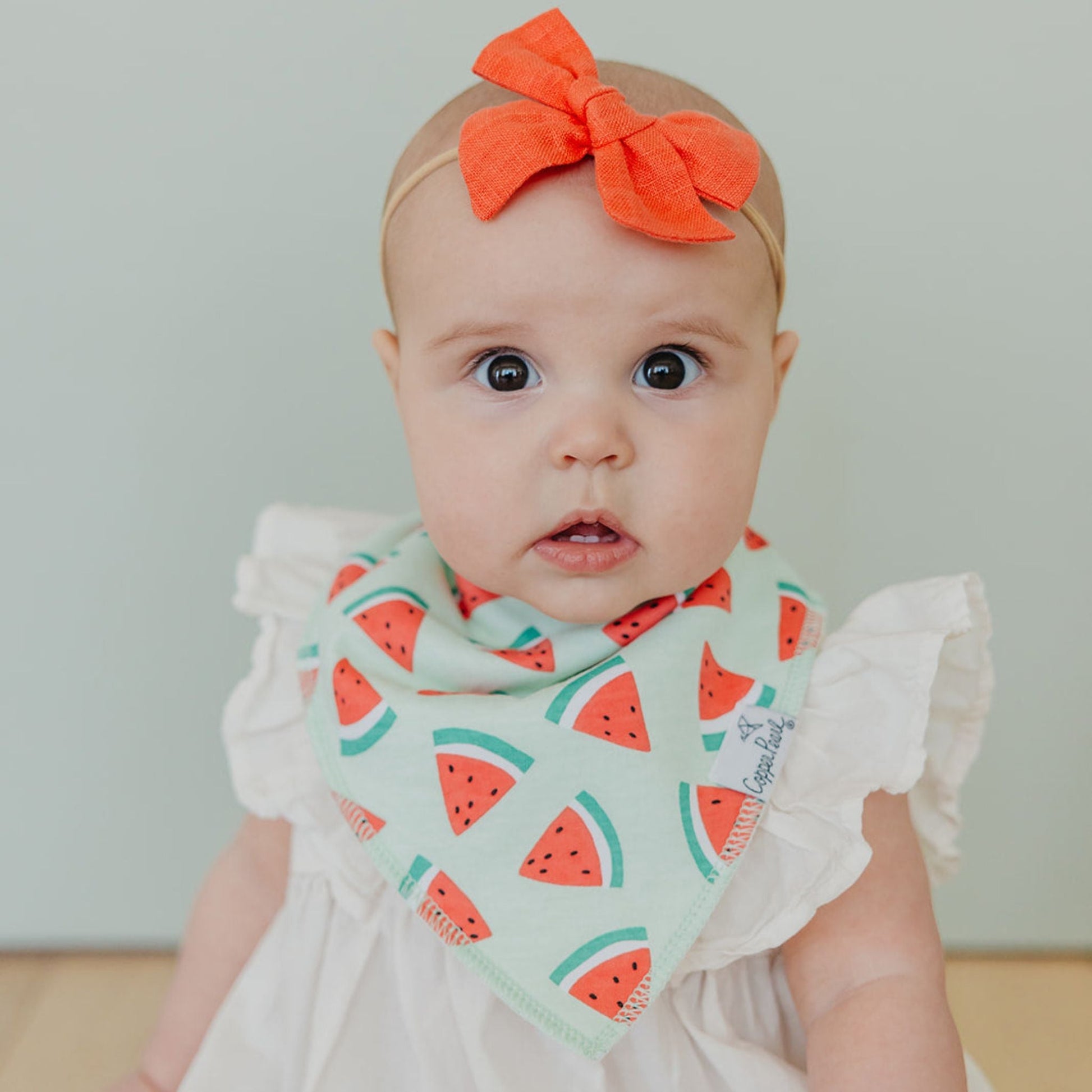 Baby Bandana Bibs - Hello Kids Baby Store