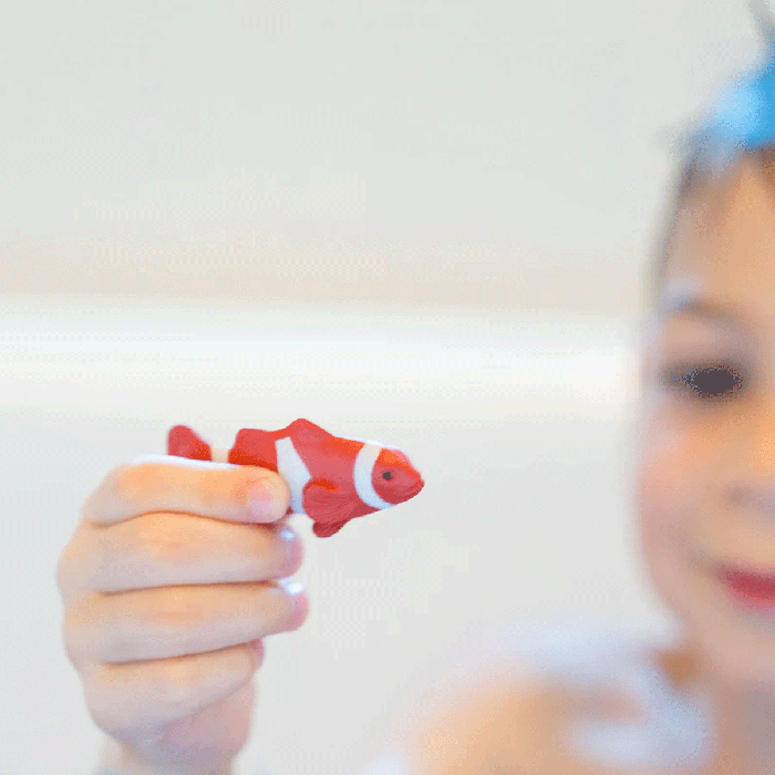Funky Fish Food - Hello Kids Baby Store