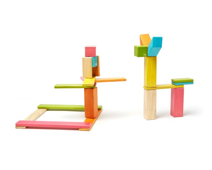 Tegu 24-Piece Set