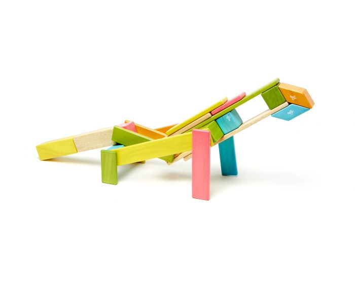 Tegu 24-Piece Set