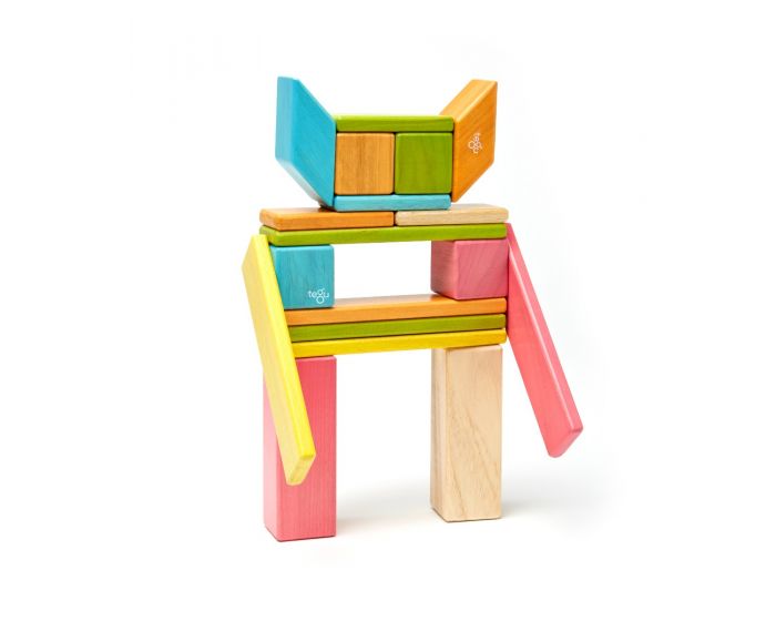 Tegu 24-Piece Set