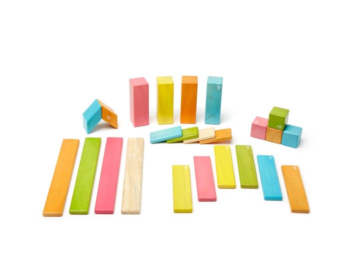 Tegu 24-Piece Set