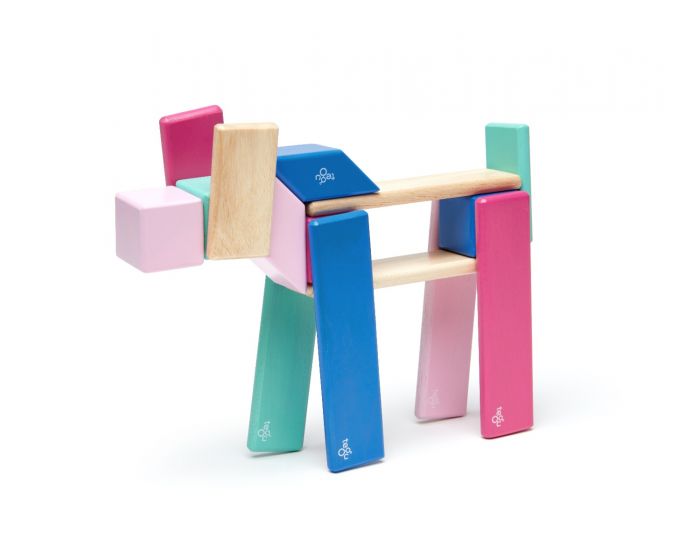 Tegu 24-Piece Set