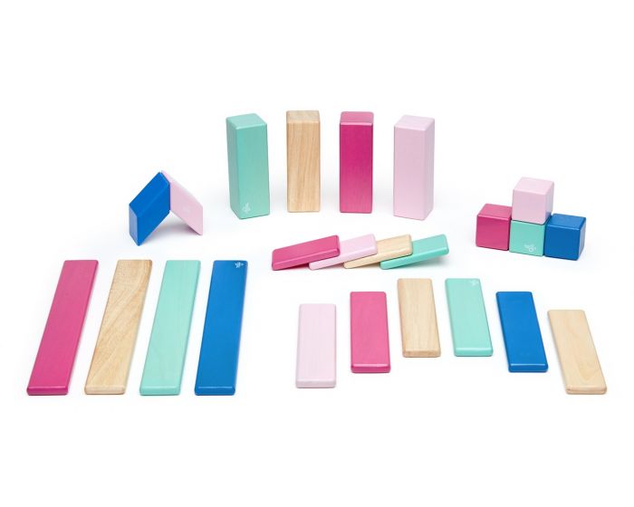 Tegu 24-Piece Set