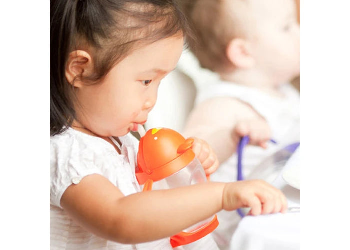 Lollacup Straw Sippy (10 oz)