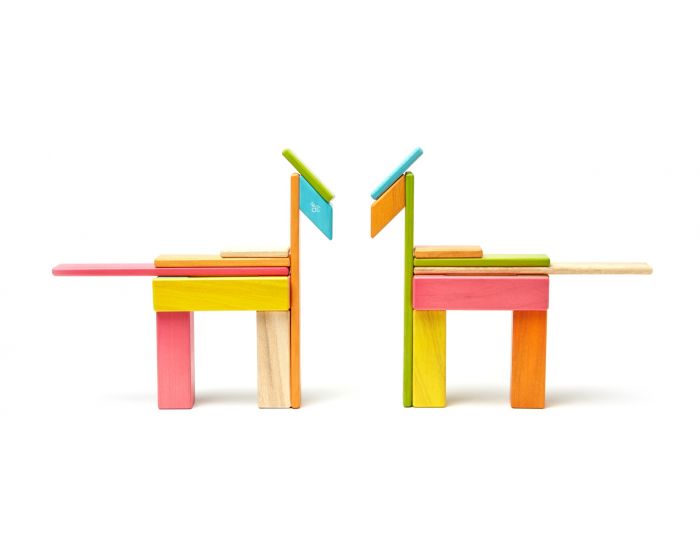 Tegu 24-Piece Set