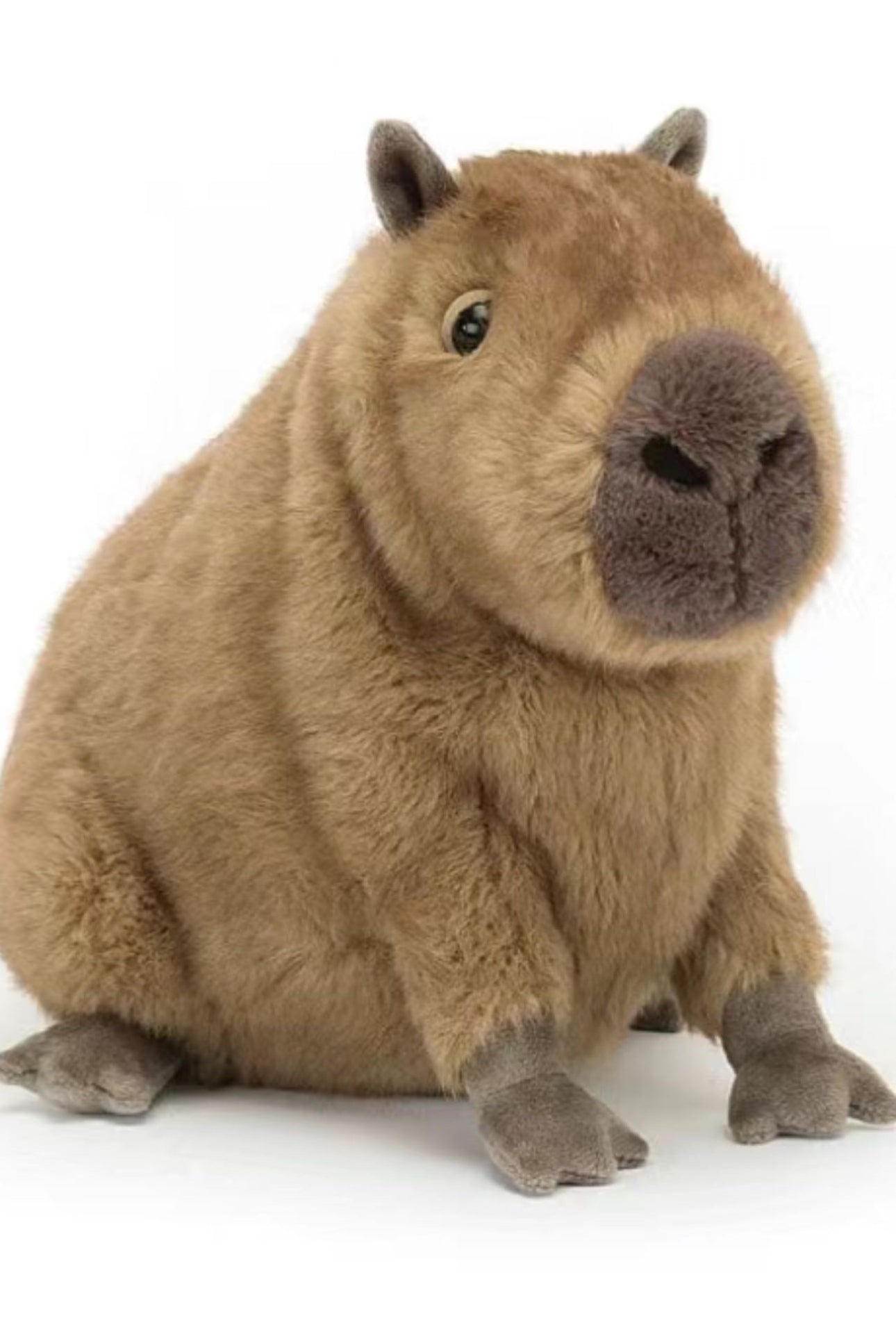 Clyde Capybara