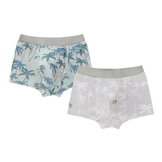 Boys Boxer Briefs Underwear (Bamboo, 2 Pack)