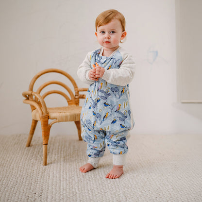 Bamboo Muslin Raglan Long Sleeve Footed Sleep Bag | 2.5 TOG – Alouette