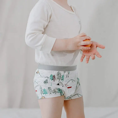 Boys Boxer Briefs Underwear (Bamboo, 2 Pack) - Hello Kids Baby Store
