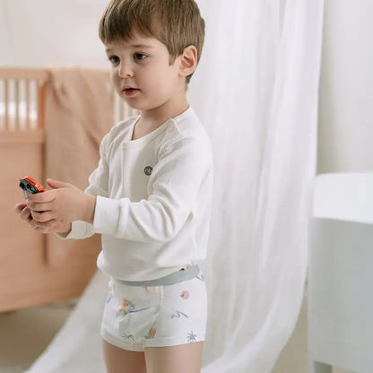 Boys Boxer Briefs Underwear (Bamboo, 2 Pack) - Hello Kids Baby Store
