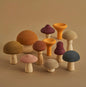 Raduga Grez Wooden Mushrooms